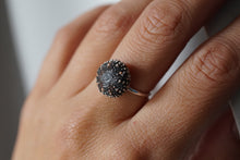 Afbeelding in Gallery-weergave laden, Zee-egel ring